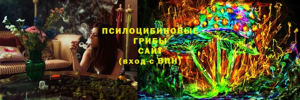 ПСИЛОЦИБИНОВЫЕ ГРИБЫ Каменногорск