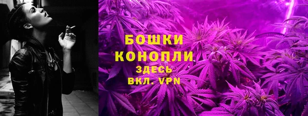 ПСИЛОЦИБИНОВЫЕ ГРИБЫ Каменногорск