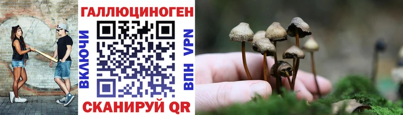 Псилоцибиновые грибы MAGIC MUSHROOMS  Купить  Малгобек 